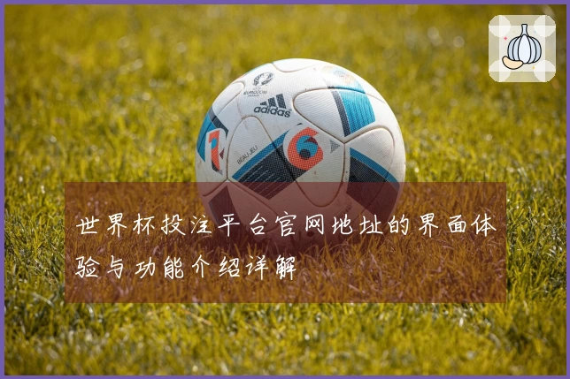 世界杯投注平台官网地址的界面体验与功能介绍详解