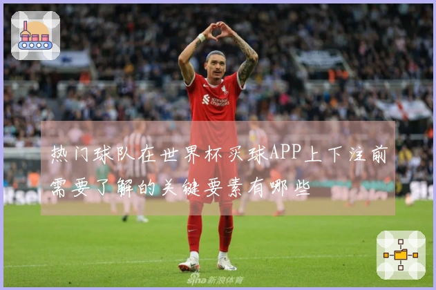 热门球队在世界杯买球APP上下注前需要了解的关键要素有哪些