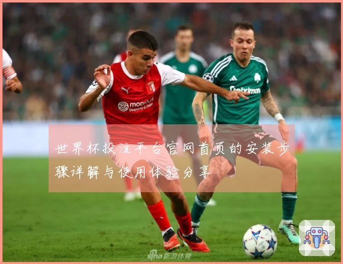 世界杯投注平台官网首页的安装步骤详解与使用体验分享