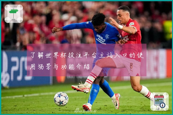 了解世界杯投注平台主站入口的使用场景与功能介绍