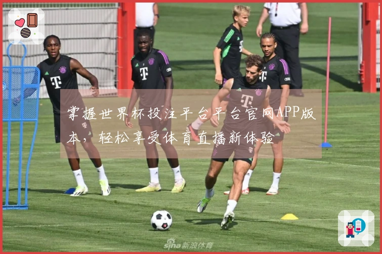 掌握世界杯投注平台平台官网APP版本,轻松享受体育直播新体验