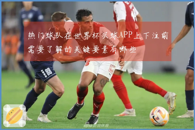 热门球队在世界杯买球APP上下注前需要了解的关键要素有哪些