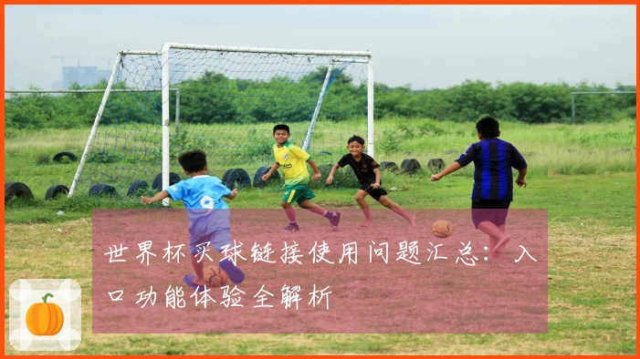 世界杯买球链接使用问题汇总：入口功能体验全解析