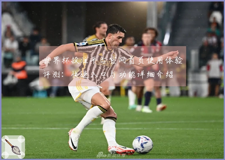 世界杯投注平台官网首页使用体验评测:快速入口与功能详细介绍