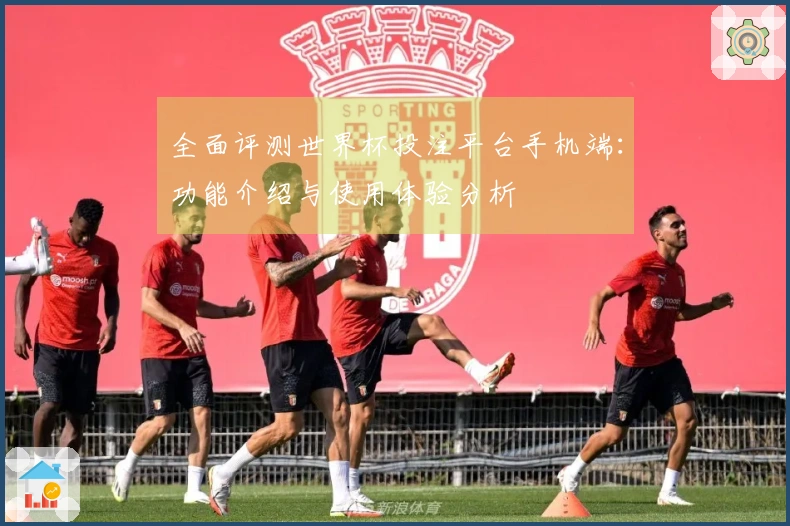 全面评测世界杯投注平台手机端：功能介绍与使用体验分析