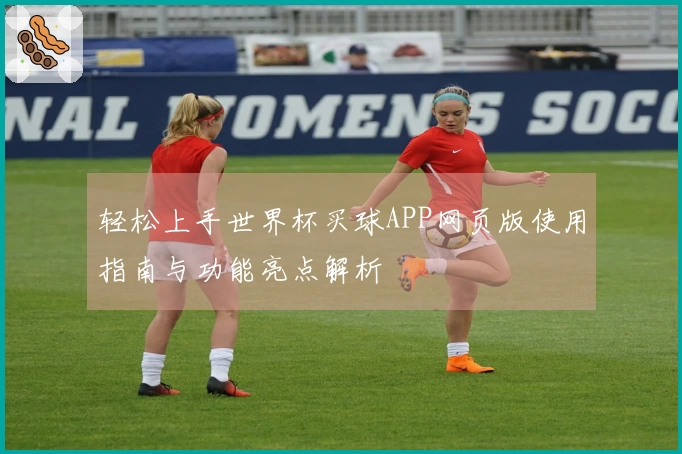 轻松上手世界杯买球APP网页版使用指南与功能亮点解析