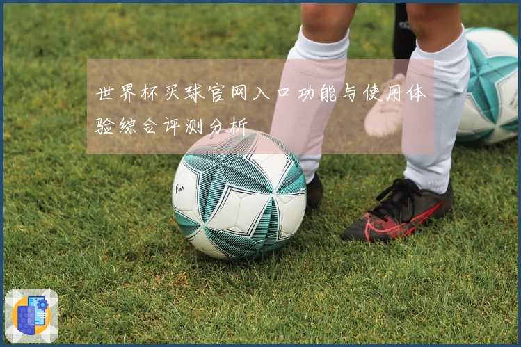 世界杯买球官网入口功能与使用体验综合评测分析