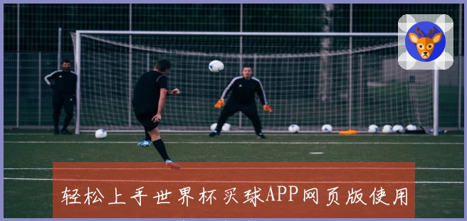 轻松上手世界杯买球APP网页版使用指南与功能亮点解析