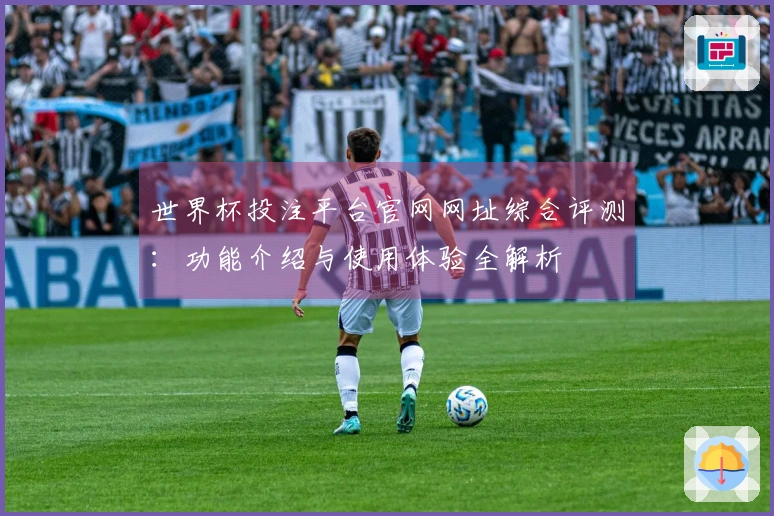 世界杯投注平台官网网址综合评测：功能介绍与使用体验全解析